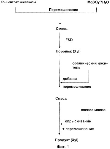 Твердые композиции ферментов и способ их получения (патент 2447678)