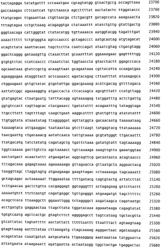 Бактериофаг, обладающий активностью против pseudomonas aeruginosa, белки бактериофага и способы их применения (патент 2580248)