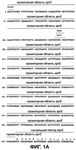 Модифицированные варианты ингибиторов протеаз bowman birk (патент 2509776)