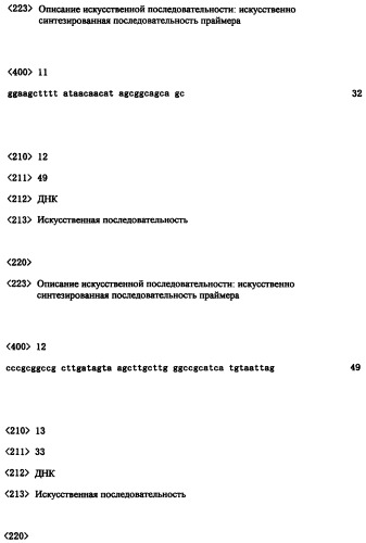 Ген синтеза клеточной стенки грибков (патент 2286387)