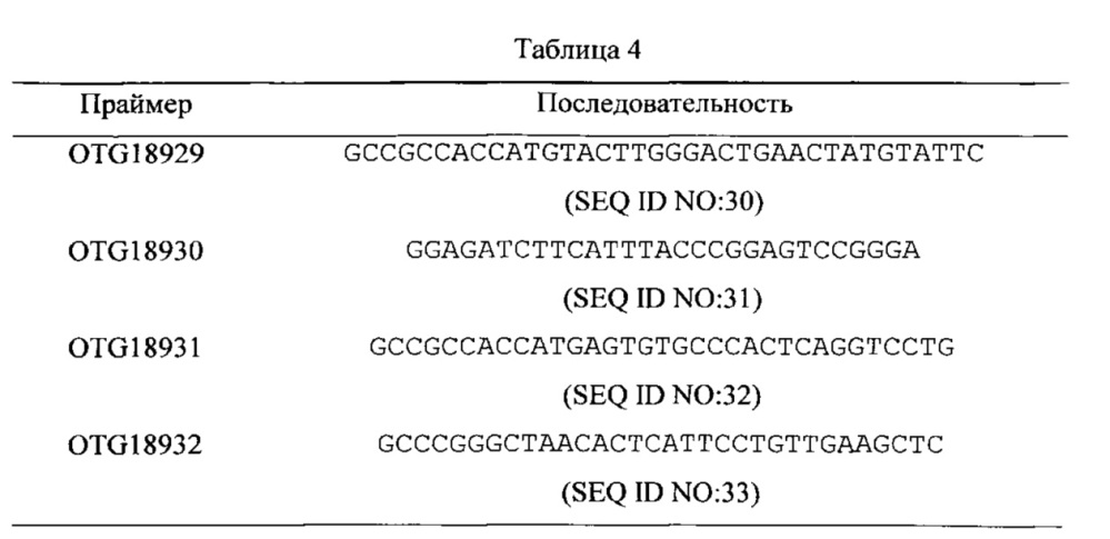 Антитело против ксф-1r (патент 2621859)