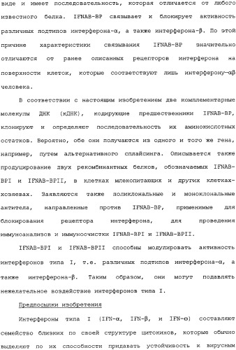 Белок ifnab-bpi, его предшественник, молекула днк, экспрессирующий вектор, способ продуцирования, фармацевтическая композиция для ингибирования активности ifn-  или ifn-  (патент 2336279)