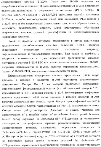 Способ получения соматотропного гормона со сниженным содержанием агрегата его изоформ, способ получения антагониста соматотропного гормона со сниженным содержанием агрегата его изоформ и общим суммарным содержанием трисульфидной примеси и/или дефенилаланиновой примеси (патент 2368619)