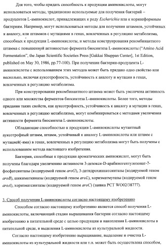 Способ придания бактерии, принадлежащей к роду methylophilus, ауксотрофности по l-аминокислоте, бактерия, принадлежащая к роду methylophilus, и способ продукции l-аминокислоты (патент 2395569)