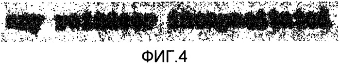 Закодированные кодовыми комбинациями словари (патент 2421809)