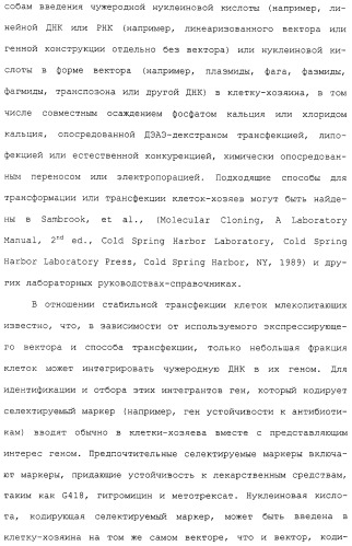 Гены corynebacterium glutamicum, кодирующие белки, участвующие в метаболизме углерода и продуцировании энергии (патент 2310686)