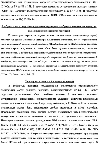 Мутеины кислотной зоны внеклеточного домена рецептора фактора роста фибробластов (патент 2509774)