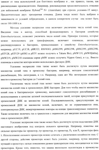 Бактерия, принадлежащая к роду pantoea, - продуцент l-аспартата или метаболита, являющегося производным l-аспартата, и способ получения l-аспартата или метаболита, являющегося производным l-аспартата (патент 2411289)