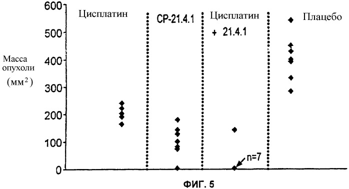 Антитело к cd40: препарат и способы (патент 2355421)