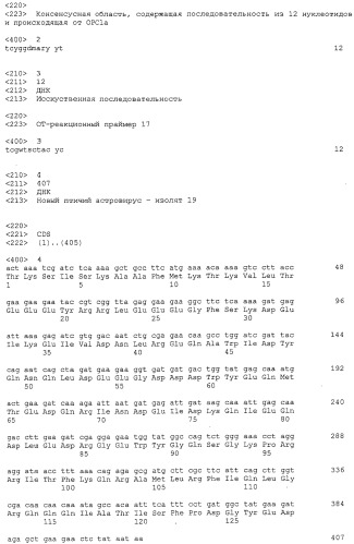 Новый птичий астровирус (патент 2547589)