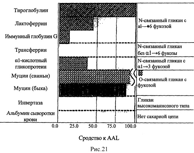 L-фукоза α1→6 специфичный лектин (патент 2524425)