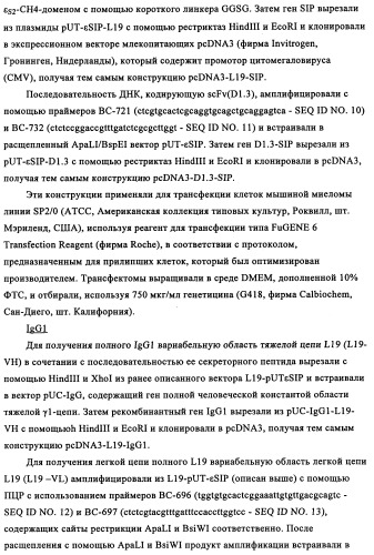 Избирательный направленный перенос в сосудистую сеть опухоли с использованием молекул антител (патент 2347787)