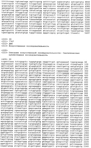 Рекомбинантные микроорганизмы, продуцирующие метионин (патент 2447146)