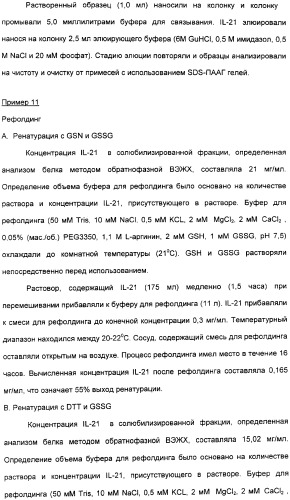 Продуцирование il-21 в прокариотических клетках-хозяевах (патент 2354703)