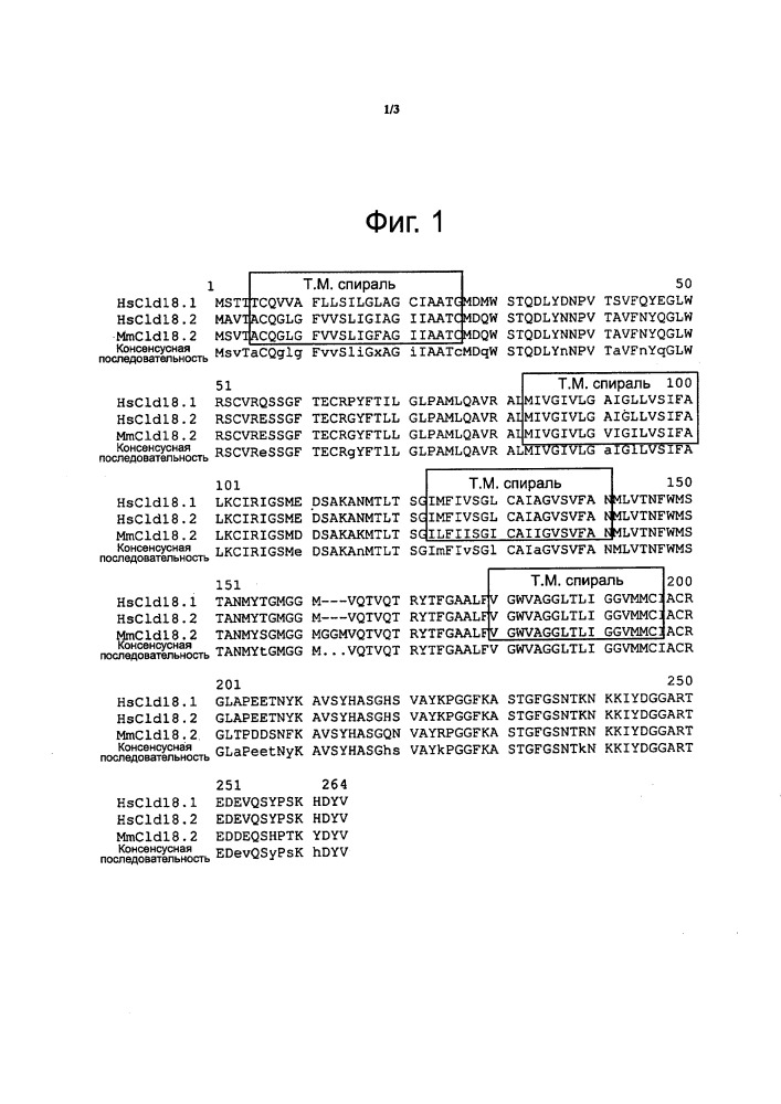 Антитела против клаудина 18.2 для диагностики рака (патент 2661772)