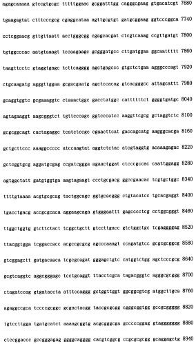 Конструирование рекомбинанта онколитического аденовируса, специфически экспрессирующего иммуномодуляторный фактор gm-csf в опухолевых клетках, и его применение (патент 2361611)
