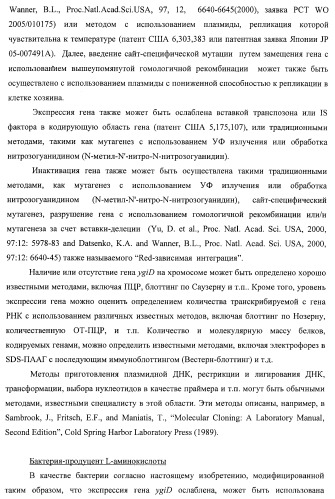 Способ получения l-треонина с использованием бактерии, принадлежащей к роду escherichia, в которой инактивирован ген ygid (патент 2396349)