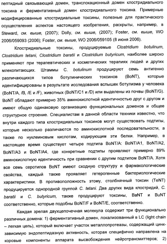 Способы лечения мочеполовых-неврологических расстройств с использованием модифицированных клостридиальных токсинов (патент 2491086)