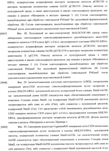 Конструкции слияния и их применение для получения антител с повышенными аффинностью связывания fc-рецептора и эффекторной функцией (патент 2407796)