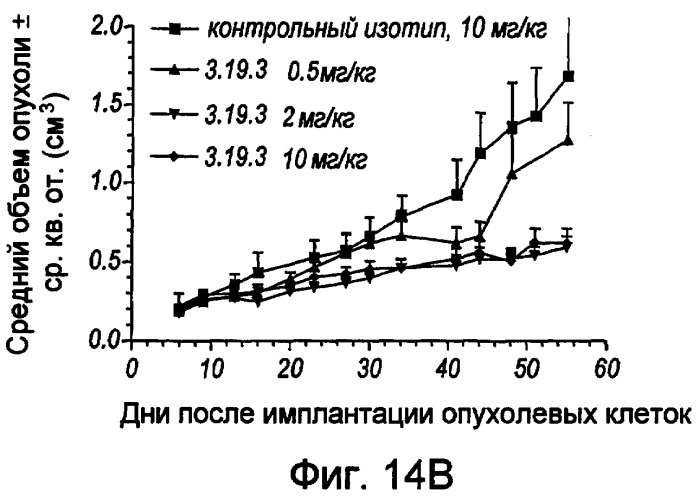 Антитела против ангиопоэтина-2 и их применение (патент 2394839)