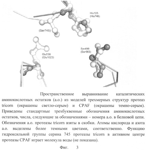 Применение индол-3-ил-глиоксиламидов для подавления хламидийной инфекции (патент 2493259)