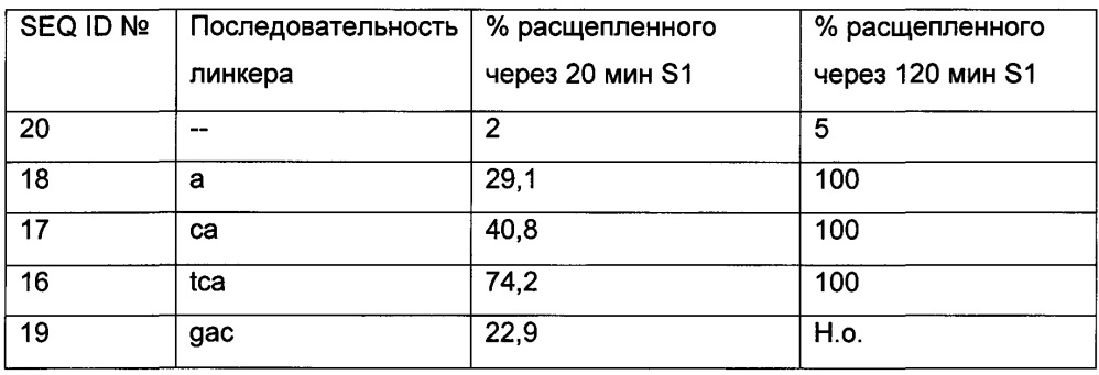 Конъюгаты олигонуклеотидов (патент 2653438)