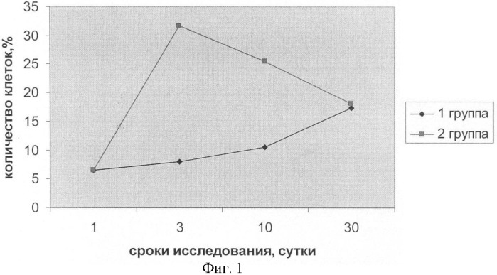 Способ стимулирования эритропоэза у крупного рогатого скота (патент 2390346)