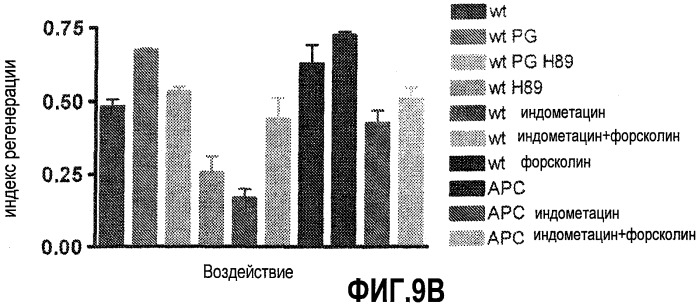 Способ стимуляции регенерации тканей (патент 2480213)