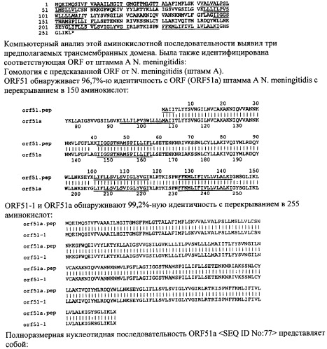 Антигены neisseria meningitidis (патент 2343159)