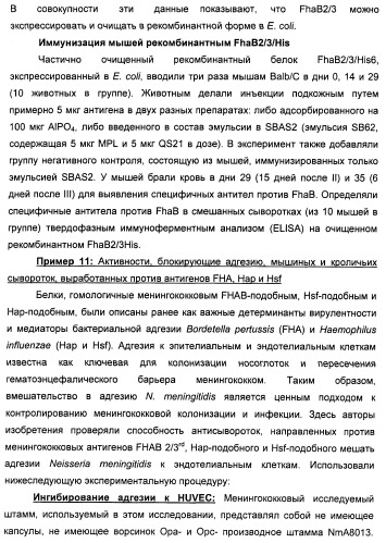 Нейссериальные вакцинные композиции, содержащие комбинацию антигенов (патент 2494758)