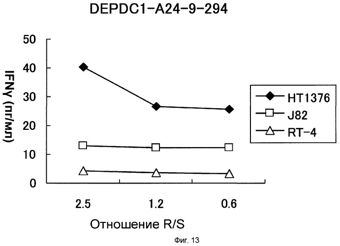 Пептидные вакцины против рака с экспрессией полипептидов mphosph1 или depdc1 (патент 2469044)