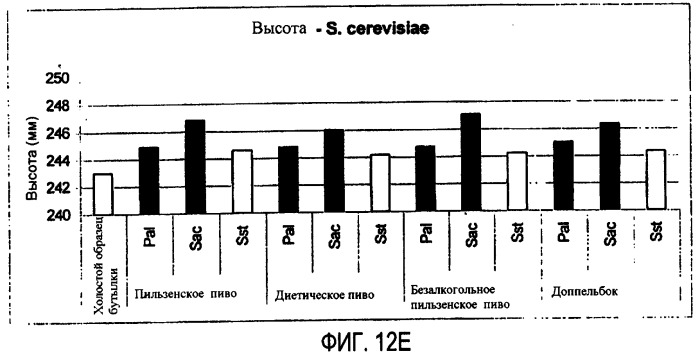 Микробиологически стабилизированное пиво (патент 2380400)