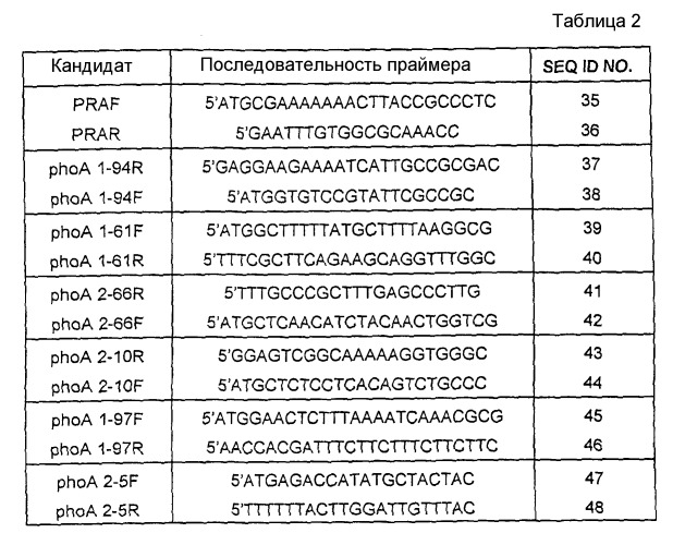 Пептид neisseria meningitidis для терапевтического и диагностического применения (патент 2313535)