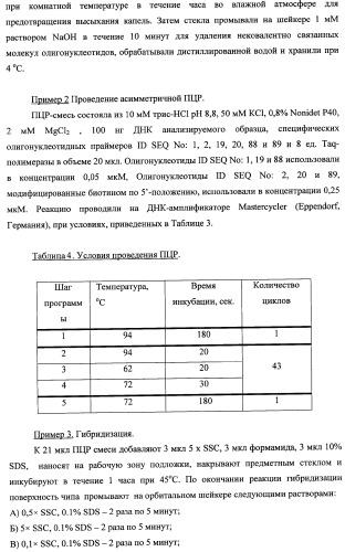 Дифференцирующий и специфический олигонуклеотиды для идентификации последовательностей днк инфекционных агентов в биологических материалах, способ видовой идентификации инфекционных агентов, биочип и набор для осуществления этого способа (патент 2348695)