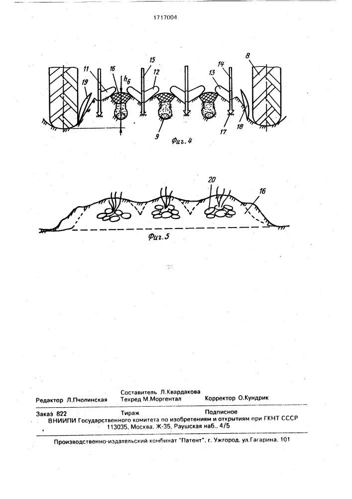 Способ возделывания картофеля (патент 1717004)