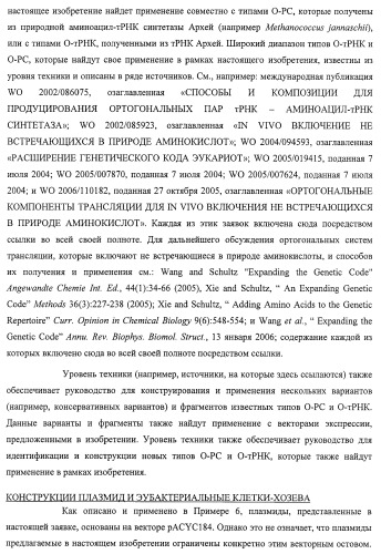 Система экспрессии компонентов ортогональной трансляции в эубактериальной клетке-хозяине (патент 2467069)