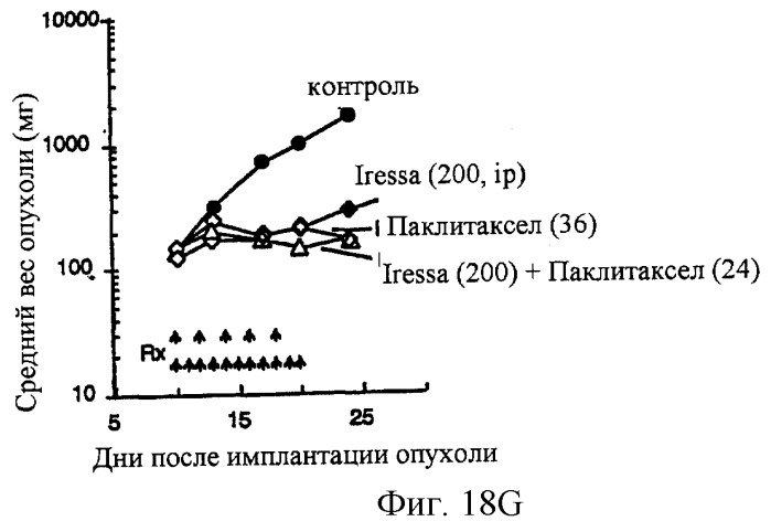 Синергические способы и композиции для лечения рака (патент 2264217)