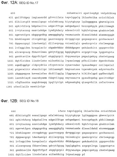 Применение s1p (патент 2362565)