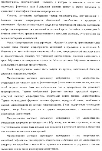 Бактерия - продуцент 1-бутанола и способ получения 1-бутанола (патент 2431672)