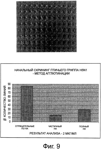 Рекомбинантная вакцина от птичьего гриппа и её применение (патент 2559527)