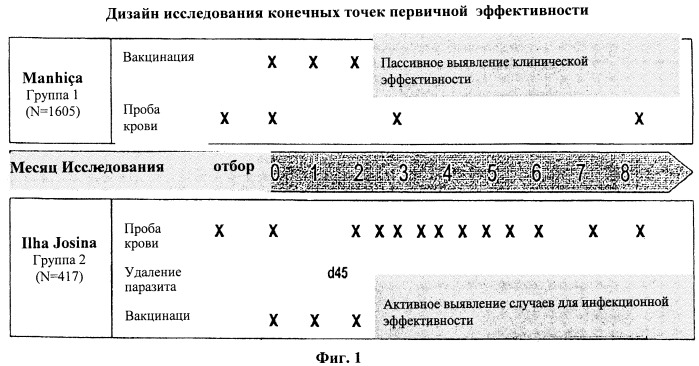 Вакцины, содержащие антиген plasmodium (патент 2423994)