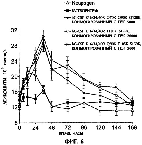 Конъюгаты g-csf (патент 2307126)