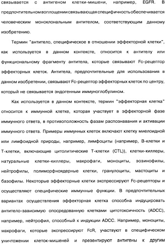 Человеческие моноклональные антитела к рецептору эпидермального фактора роста (egfr), способ их получения и их использование, гибридома, трансфектома, трансгенное животное, экспрессионный вектор (патент 2335507)