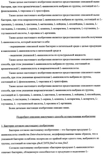 Способ получения l-треонина с использованием бактерии, принадлежащей к роду escherichia, в которой инактивирован кластер генов sfmacdfh-fimz или ген fimz (патент 2333953)