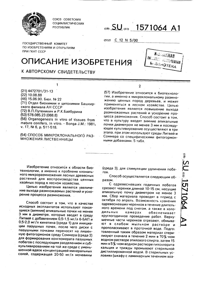 Способ микроклонального размножения лиственницы (патент 1571064)