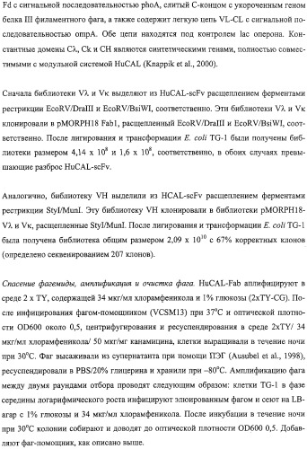 Антитела человека, обладающие активностью связывания c mn и нейтрализации клеточной адгезии (патент 2317998)