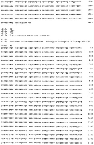 Комплексы на основе рнк и катионных пептидов для трансфекции и иммуностимуляции (патент 2493256)
