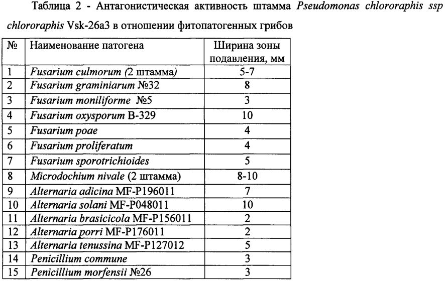 Фосфатрастворяющий штамм pseudomonas chlororaphis ssp chlororaphis vsk-26a3, обладающий фунгицидной и бактерицидной активностью (патент 2603281)