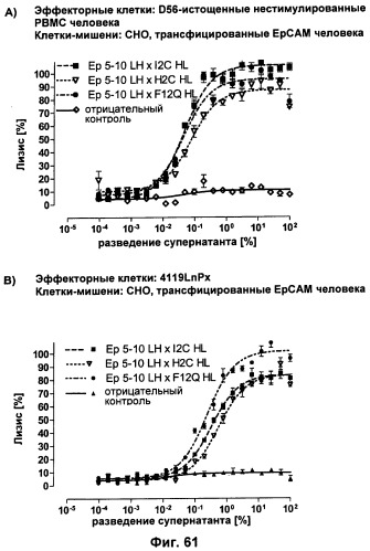 Pscaxcd3, cd19xcd3, c-metxcd3, эндосиалинxcd3, epcamxcd3, igf-1rxcd3 или fap-альфаxcd3 биспецифическое одноцепочечное антитело с межвидовой специфичностью (патент 2547600)