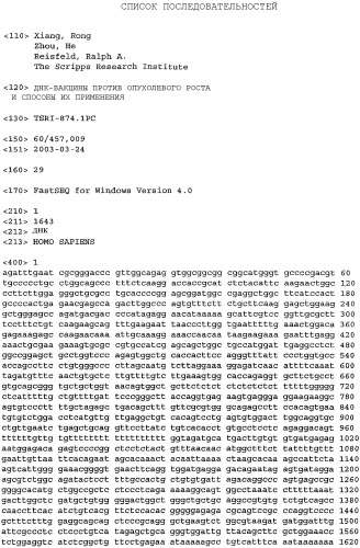 Днк-вакцины против опухолевого роста и способы их применения (патент 2343195)
